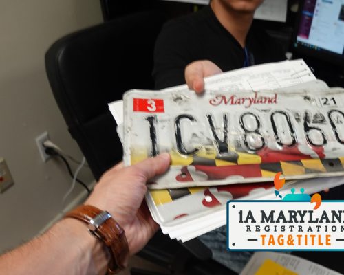 Regrese sus placas al MVA